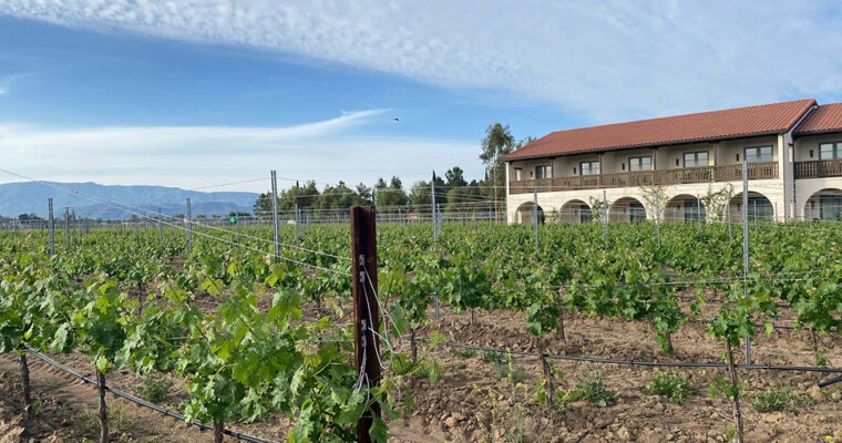 Temecula Valley Wine Country: A Parent’s Weekend Escape