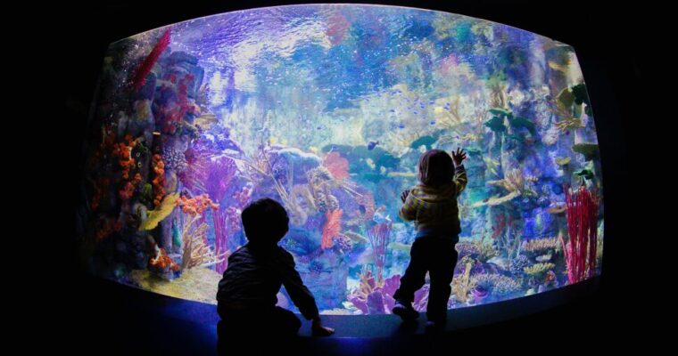 13 Top Aquariums in the U.S.