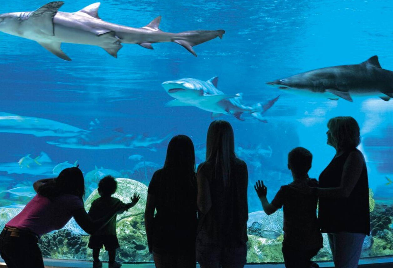 15 Top Aquariums in the U.S. for 2023