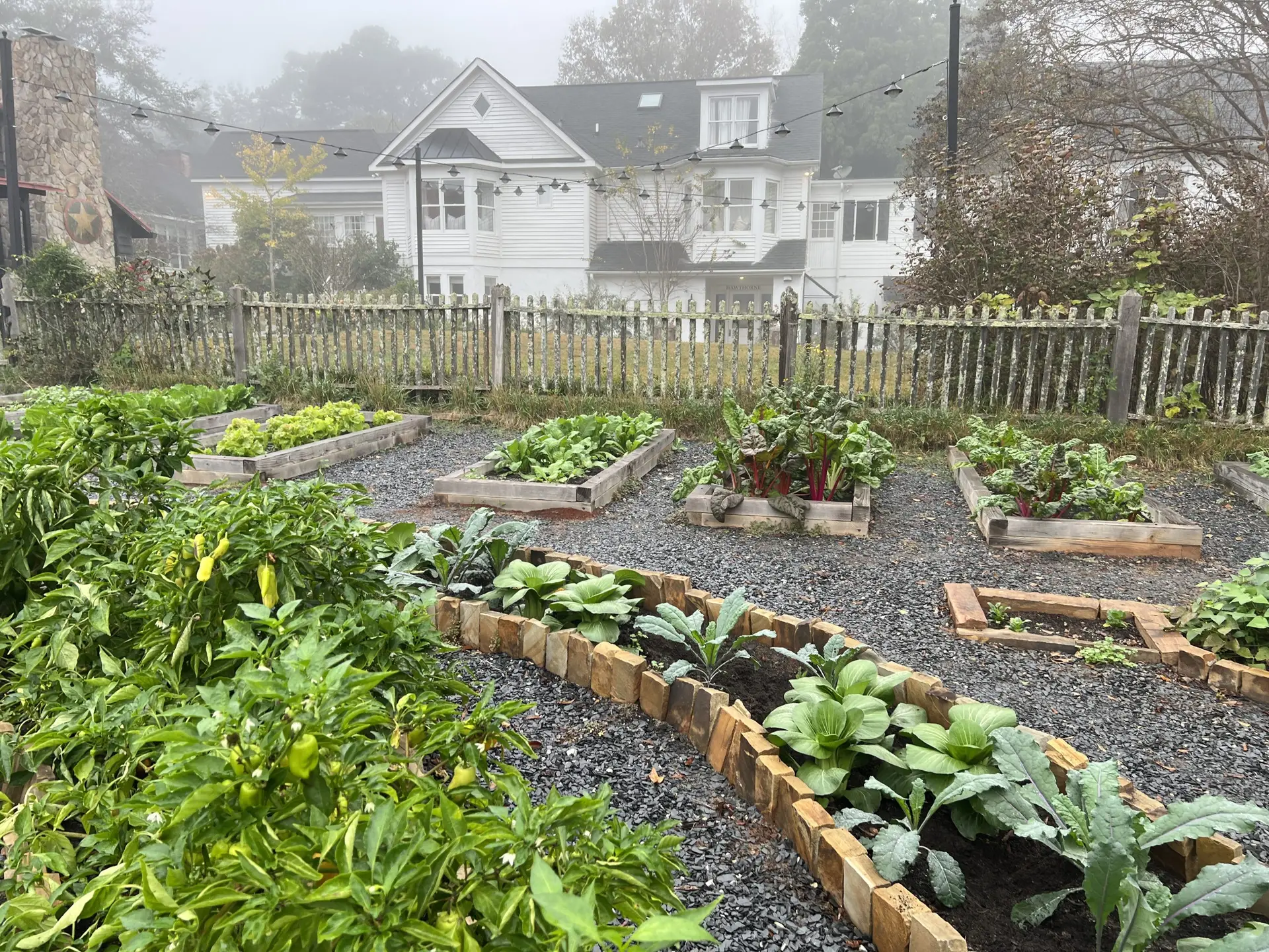 Chickens, Compost, and Community: Life Inside America’s Agrihoods
